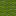 Green Carpet