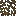 Mangrove Roots