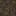 Muddy Mangrove Roots