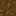 Podzol