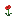 Poppy